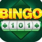 Bingo game
